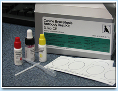 Picture: A Brucella test kit.