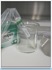 Picture: Sample of semen to be cryo-preserved.